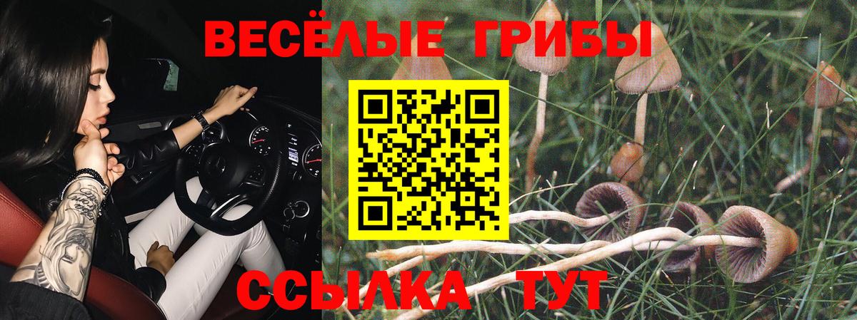 Псилоцибиновые грибы MAGIC MUSHROOMS Мичуринск